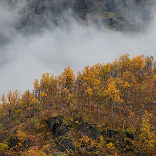 Senja - Bergsbotn - Autumn